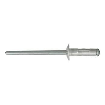 Multi-purpose rivets