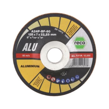 Specialist rough grinding discs