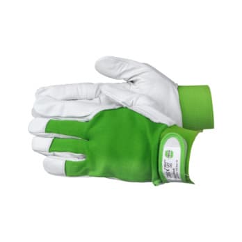 RECA protective glove Easy Work