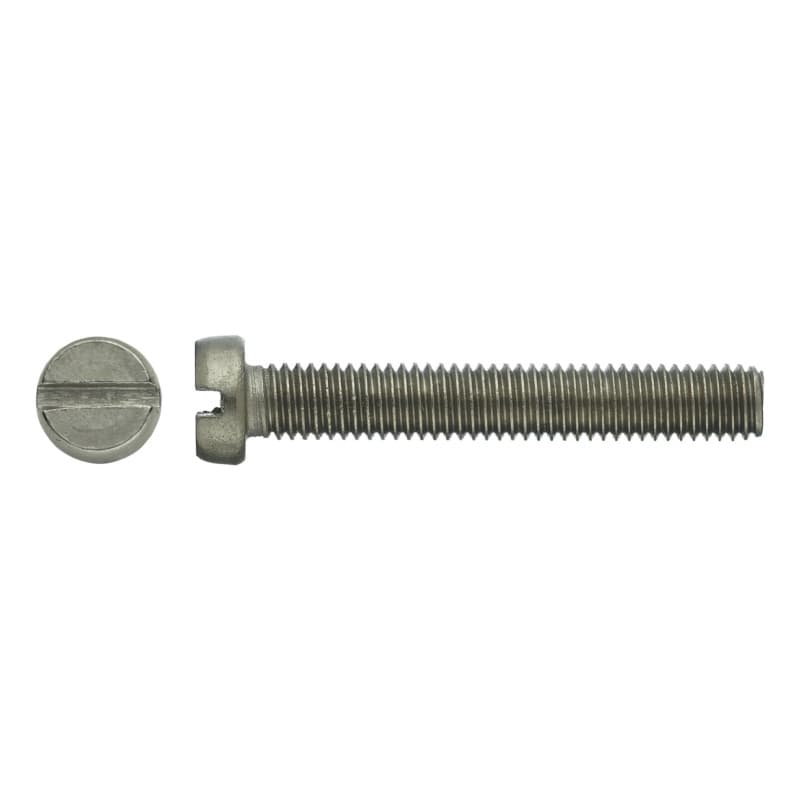 Cheese head screw, DIN 84 A2, slot M3 x 10