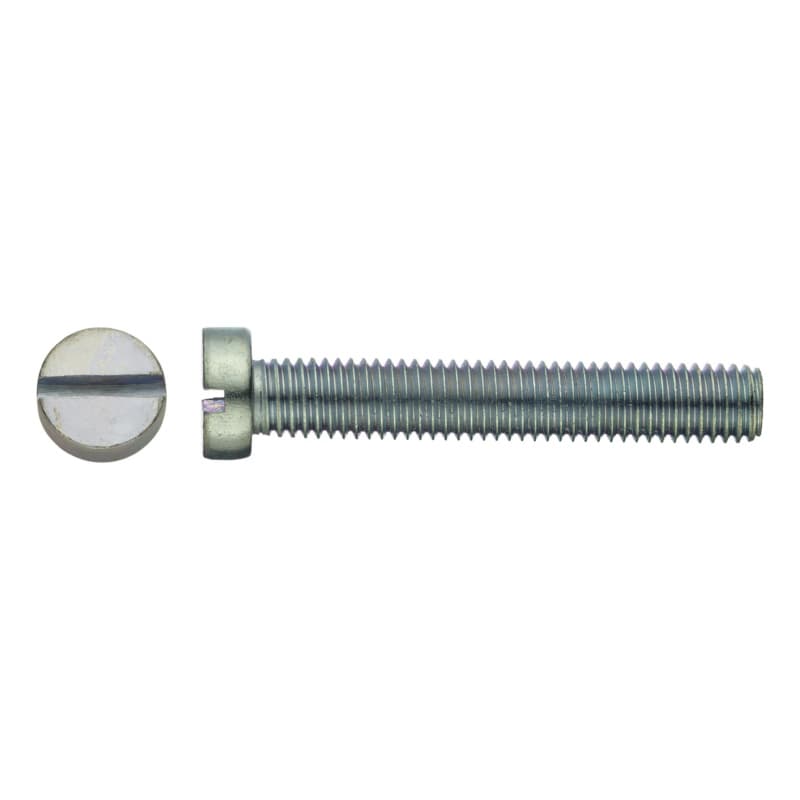 Cheese head screw, DIN 84 4.8, galvanised, slot M3 x 10