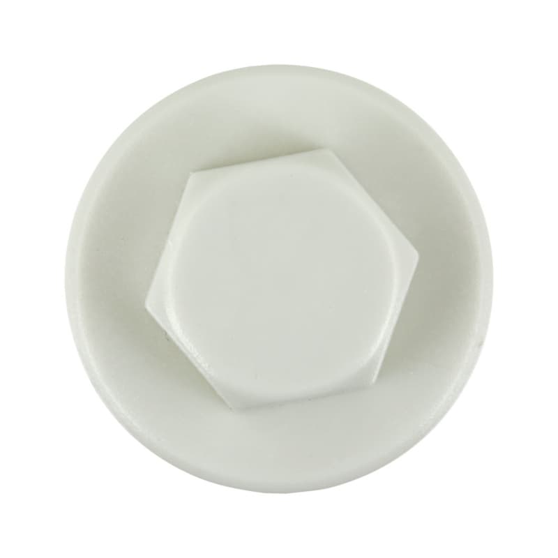 Caps for façade construction screw, RAL 7035, light grey, Ø 20 mm