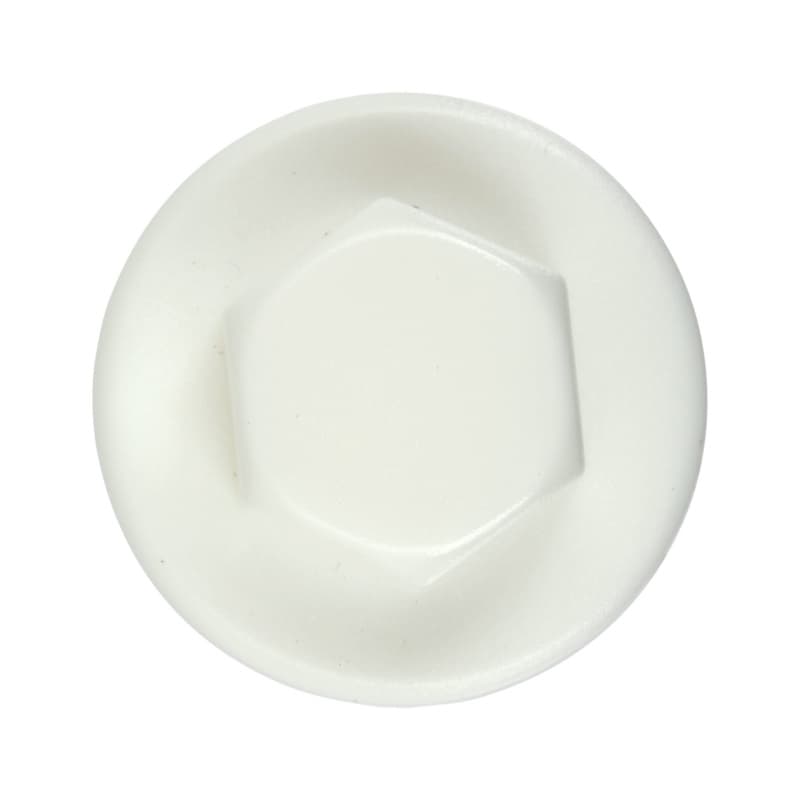 Caps for façade construction screw, RAL 9010, pure white, Ø 20 mm