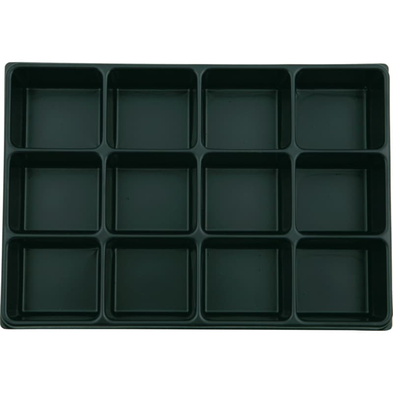 VISO inlay for empty case, 12 compartments