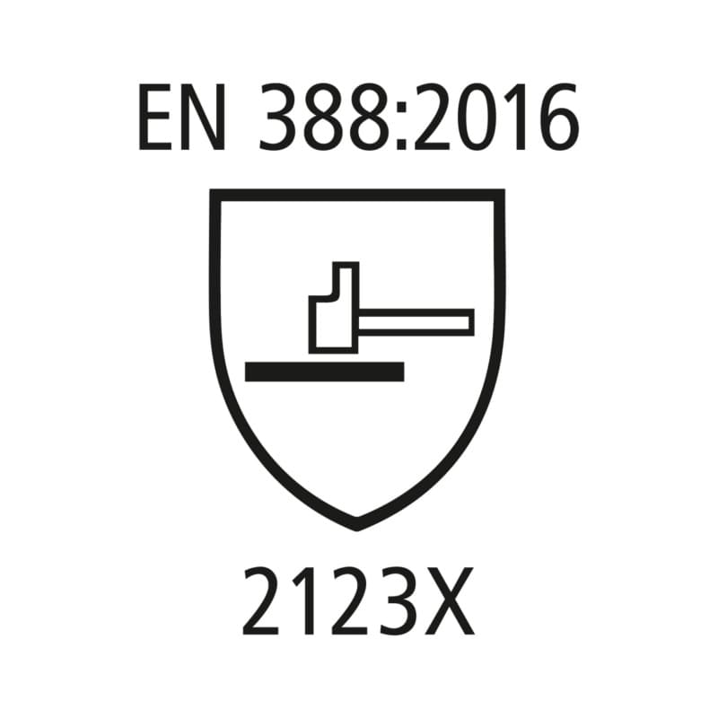 Pictogram