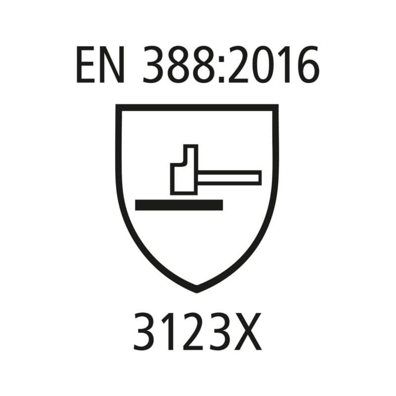 Pictogram