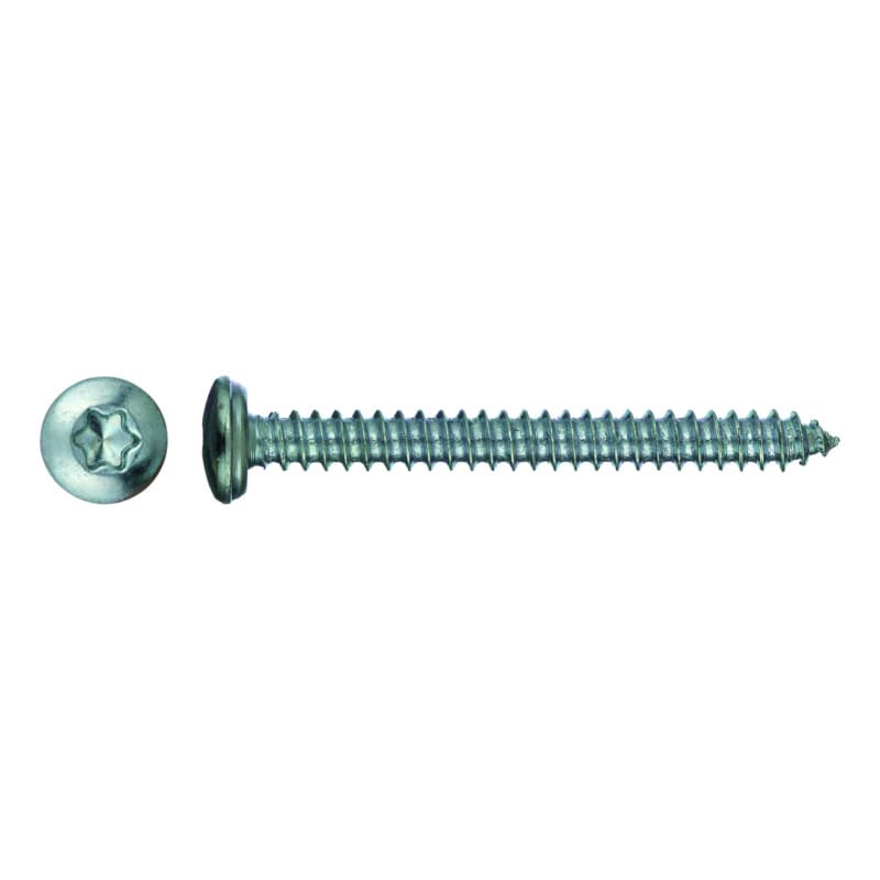 Cap-head window sill screw, galv., self-tapping screw thread, TX 20 3.9 x 16