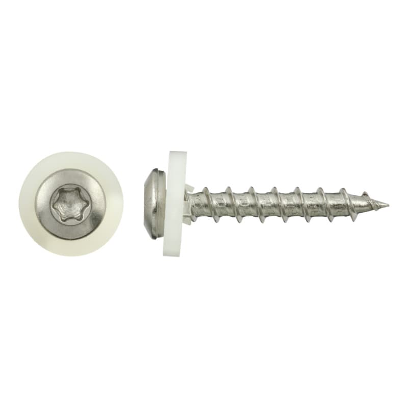 Cap-head window sill screw, natural A2, coarse thread and washer, TX 20 3.9 x 19
