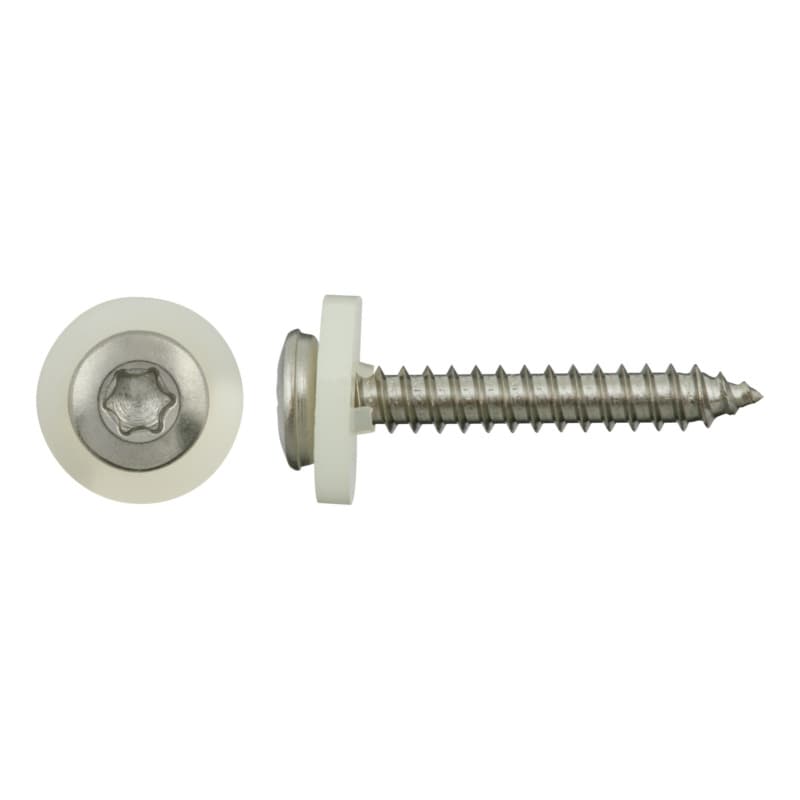 Cap-head window sill screw, A2, natural 3.9 x 19