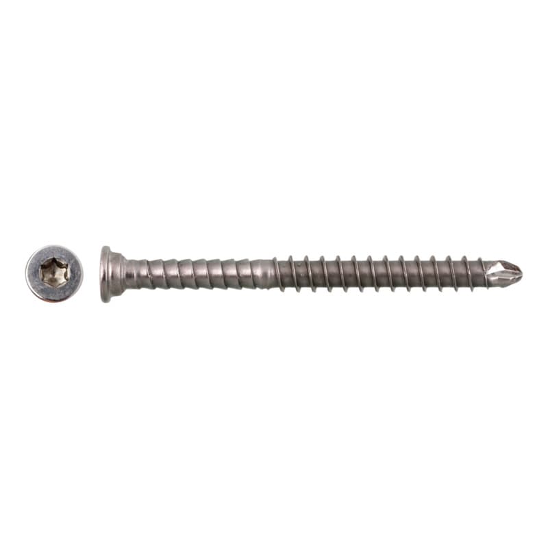 sebS TT drilling screw washer head II A2, TX 20 5.5 x 50