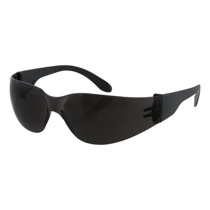 RECA safety goggles with frame EX 101 grey