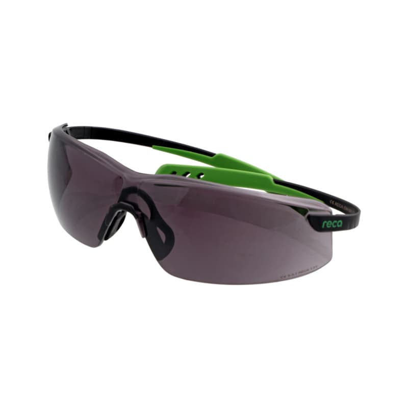 RX 207 safety goggles with frame, grey