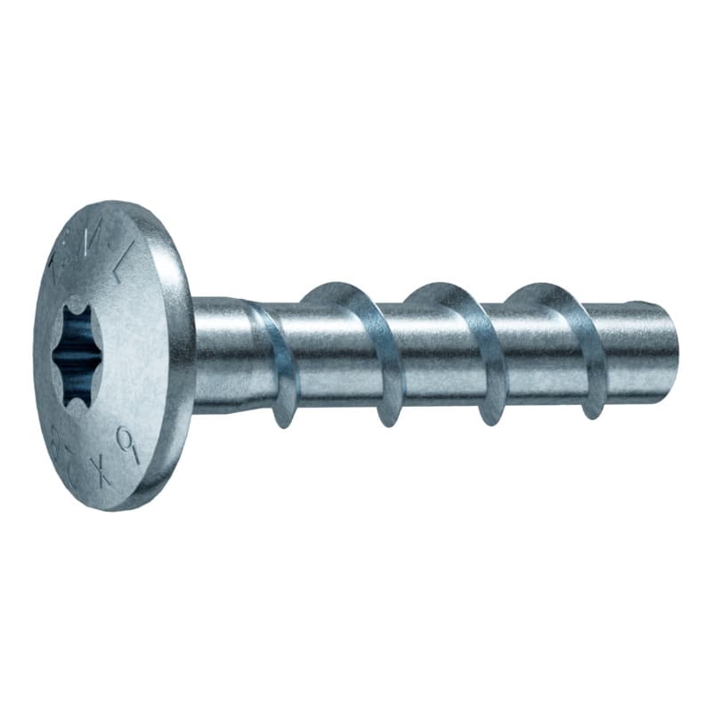 Screw anchor with pan head TSM L 6x40 LP TX30