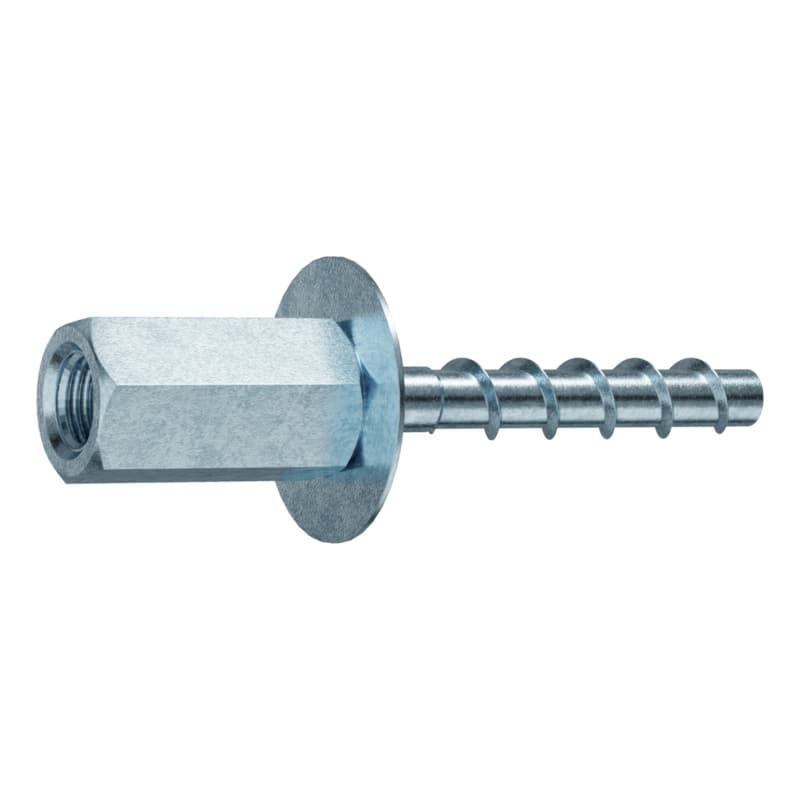 Screw anchor with internal thread TSM L 6x40 IT M8/M10 AF 13