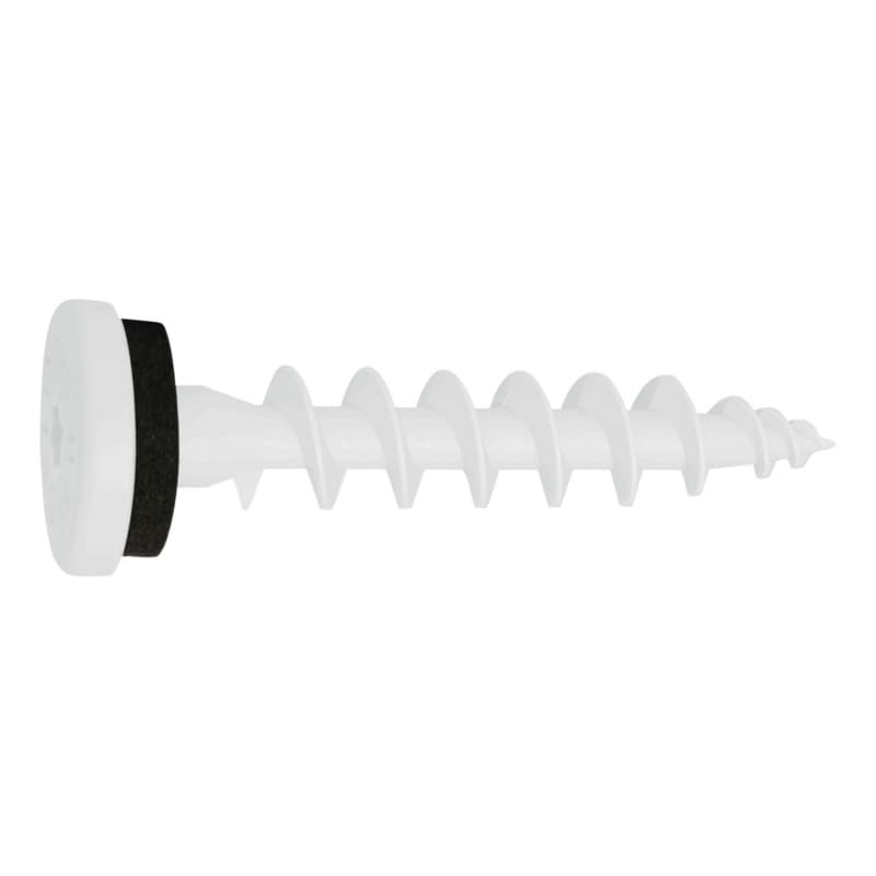 IPS H insulated panel screw, signal white, RAL 9003, TX 25 55 mm