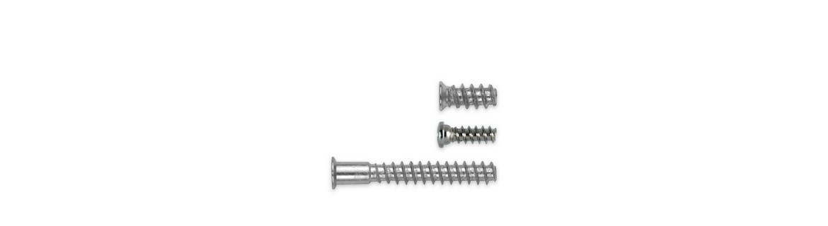 Euro screws/corner connector screws