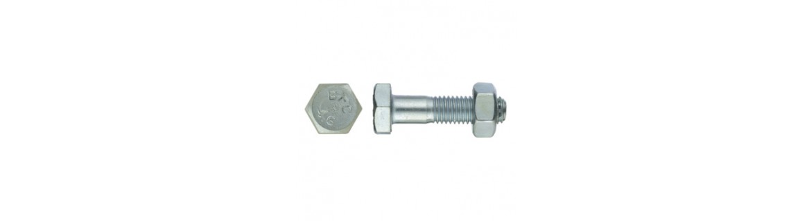DIN 601 with nut-4.6 galvanised