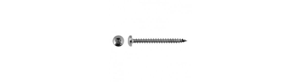 Pan-head chipboard screw, FT, TX, A2