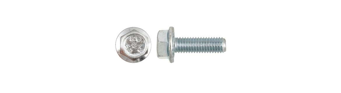 Serrated screws 8.8, galvanised